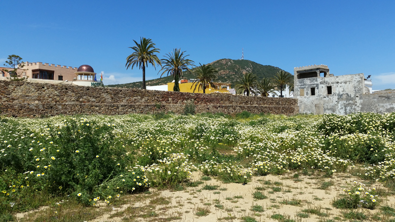 Castillo de las Almadrabas  Fraser Simpson