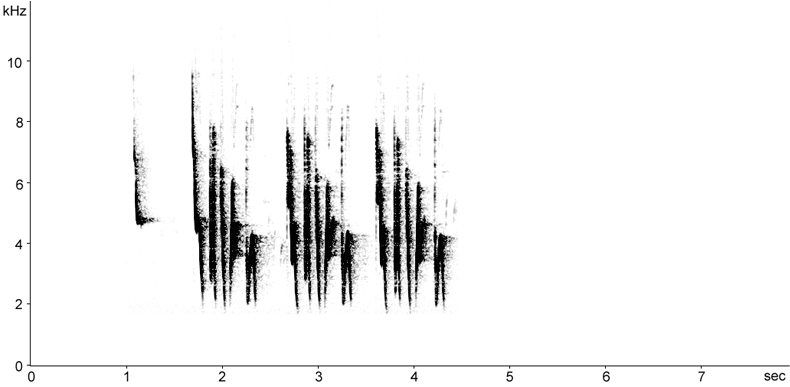 Sonogram of Cetti's Warbler song