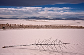 White Sands