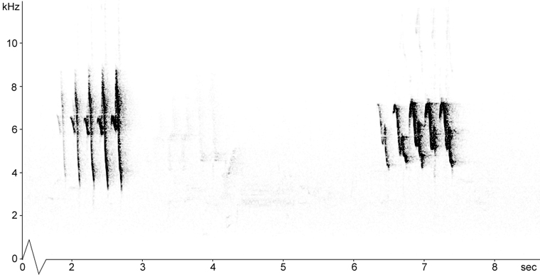 Sonogram of American Redstart song