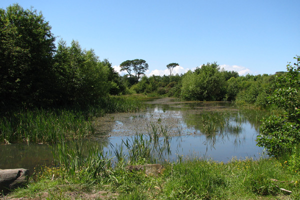 Ardeer Quarry Pond  Iain Hamlin