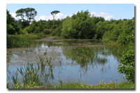 Ardeer Quarry Pond © Iain Hamlin
