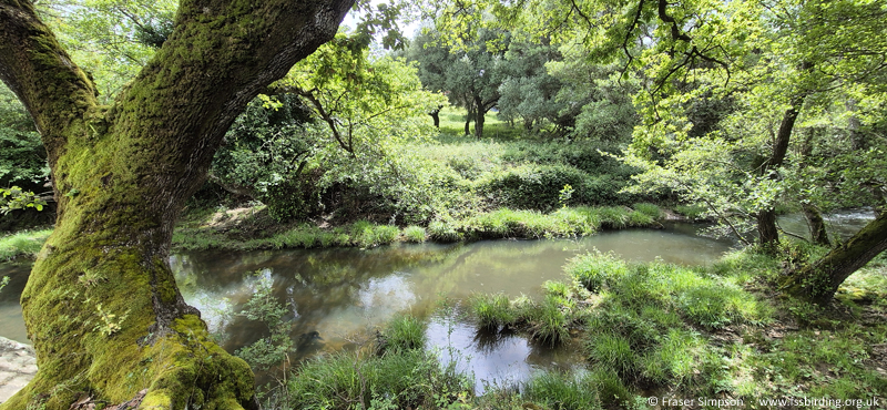 Arroyo del Tiradero, Valle de Oj�n, Andaluc�a, Spain � Fraser Simpson