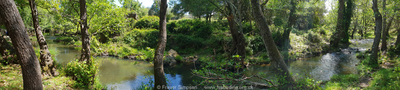 Arroyo del Tiradero, Valle de Ojn  Fraser Simpson