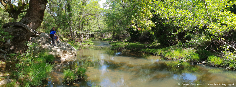 Arroyo del Tiradero, Valle de Ojn  Fraser Simpson