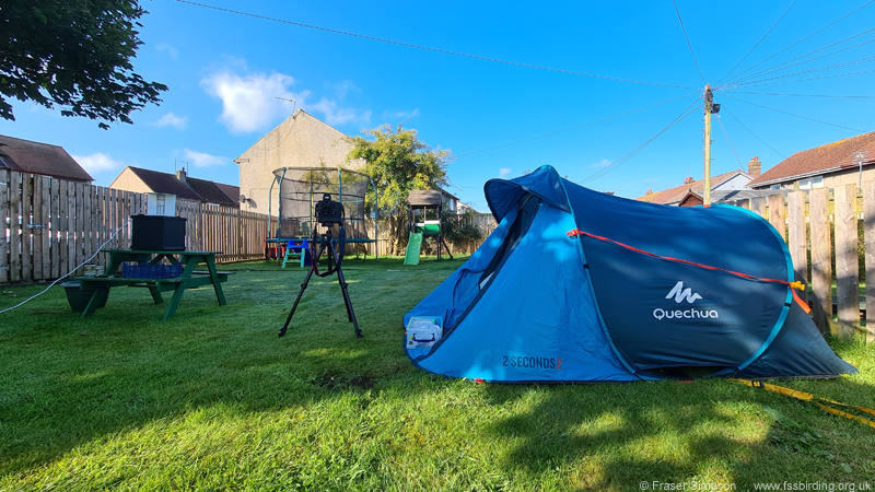 Camping next to the moth trap  Fraser Simpson