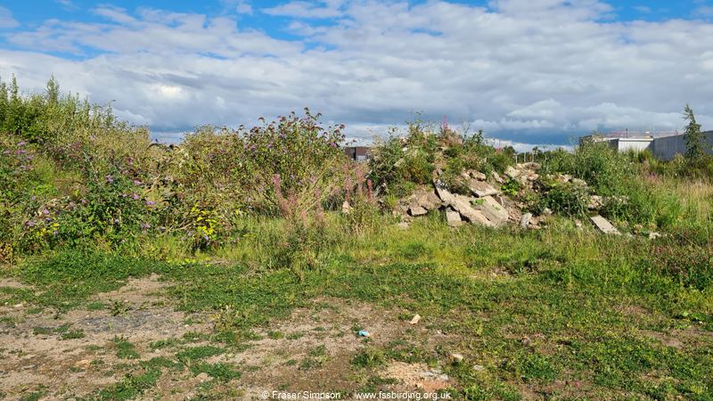 Brownfield site, Kilmarnock, Ayrshire, Scotland  Fraser Simpson