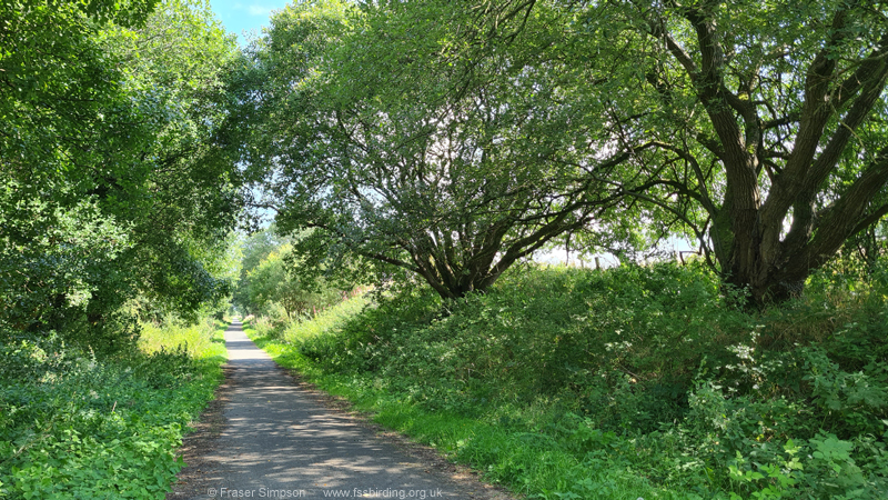 Hurlford-Galston disused railway line  Fraser Simpson