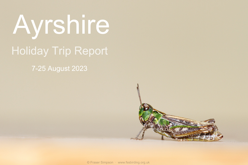 New trip report from Ayrshire 7-25 August 2023  Fraser Simpson