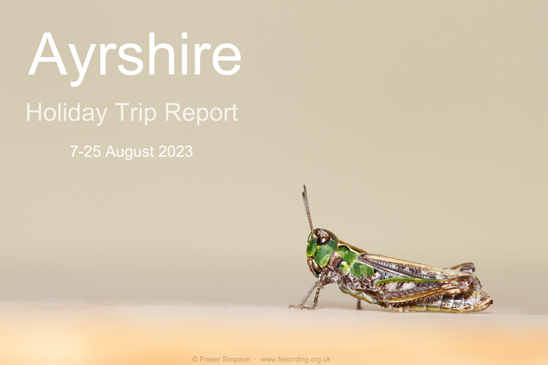 New trip report from Ayrshire 7-25 August 2023 © Fraser Simpson