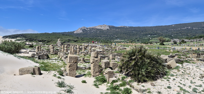 Baelo Claudia - remains of an ancient town of Hispania,  Andaluc�a, Spain, April 2026 � Fraser Simpson