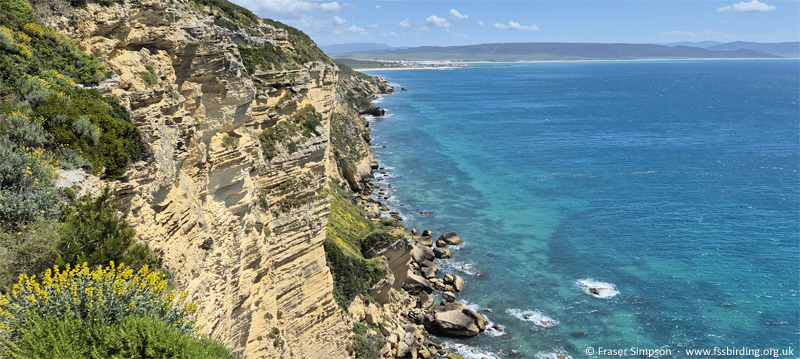 Barbate Cliffs, La Bre�a de Barbate, Andaluc�a, Spain, April 2025 � Fraser Simpson