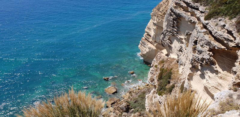 Cliffs below Torre del Tajo, Barbate  Fraser Simpson