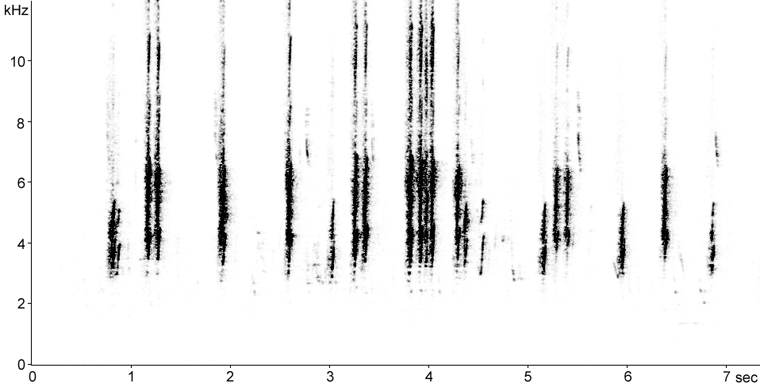 Sonogram of Barn Swallow calls