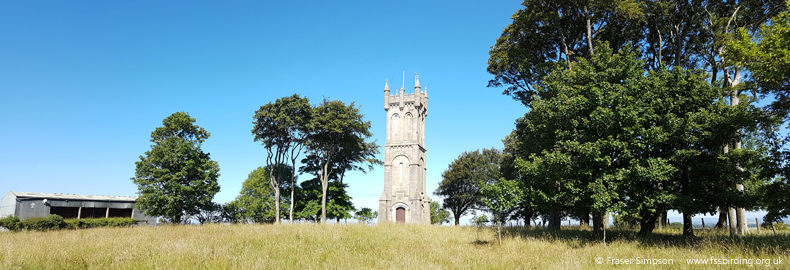 Wallace's Monument, Barnweil Hill, Ayrshire  Fraser Simpson 
