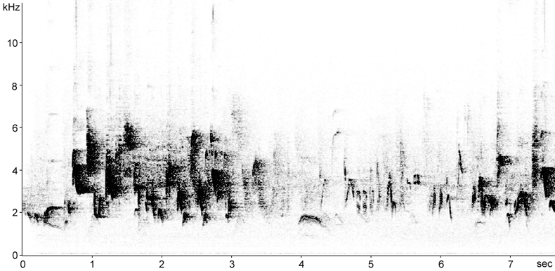 Sonogram of Barred Warbler song