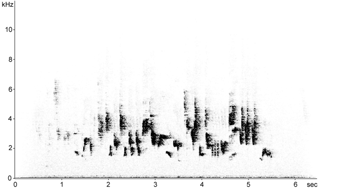 Sonogram of Barred Warbler song