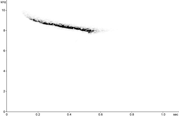 Sonogram of Blackbird hawk alarm call