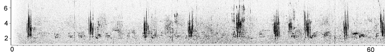 Sonogram of Black-eared Wheatear song