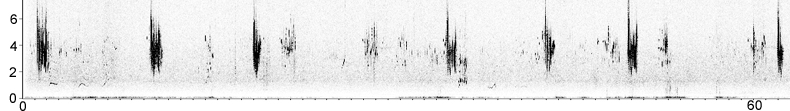 Sonogram of Black-eared Wheatear song