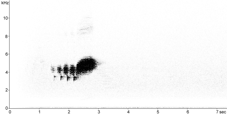 Sonogram of Black-throated Blue Warbler singing