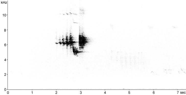 Sonogram of Black-throated Green Warbler singing