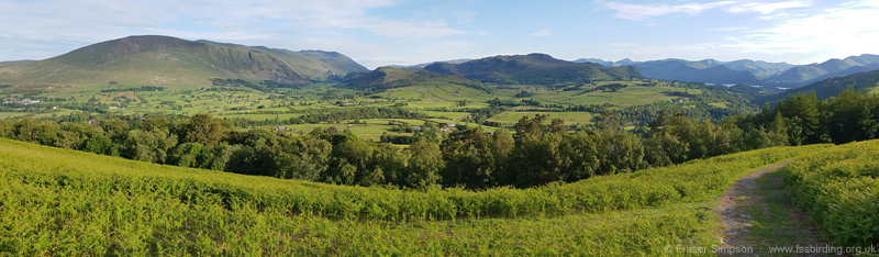 View south from Blease Fell   Fraser Simpson 2019