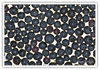 Blueberries  2010 Fraser Simpson