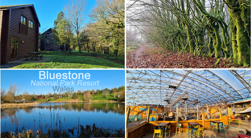 Trip report from Bluestone National Park Resort, Wales 10-14 January 2022