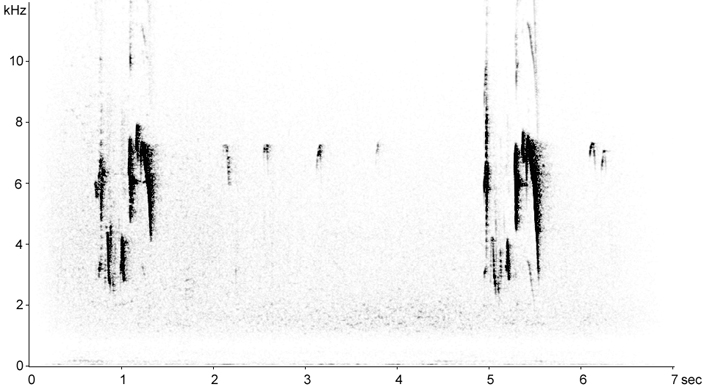 Sonogram of Boreal Chickadee calls