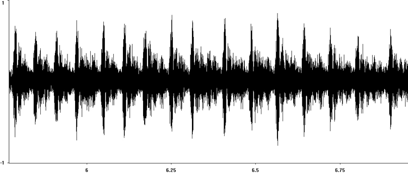 Oscillogram of Bow-winged Grasshopper stridulation