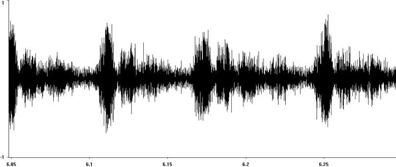 Oscillogram of Bow-winged Grasshopper stridulation