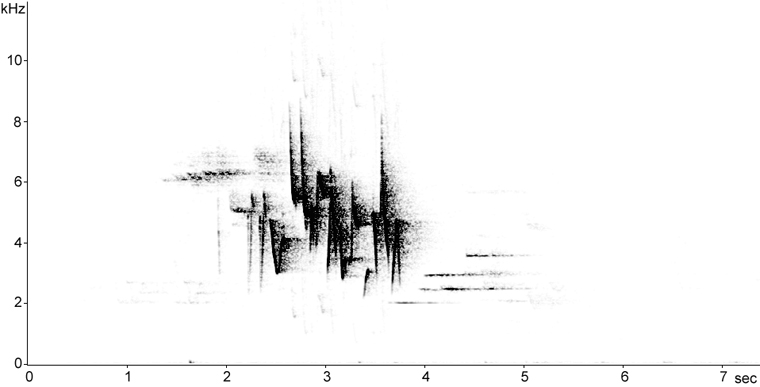 Sonogram of Canada Warbler song