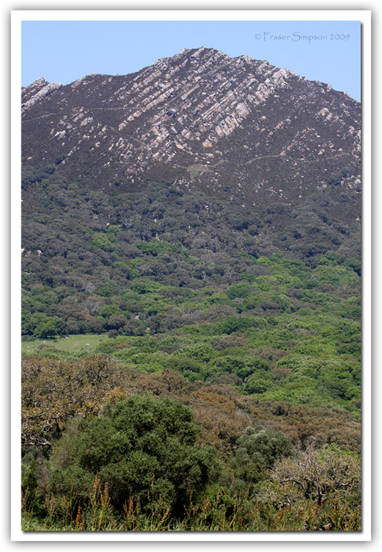 Valle do Ojn, Los Alcornocales