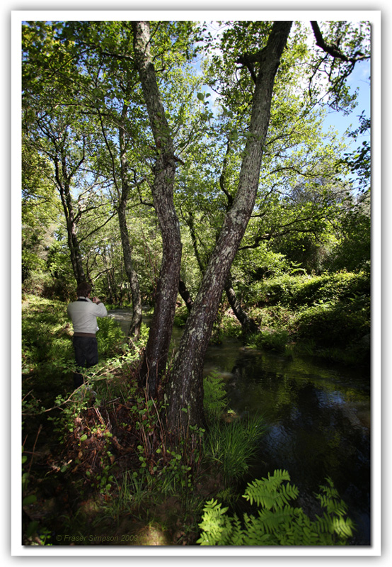 Arroyo del Tiradero  Los Alcornocales  2009 Fraser Simpson