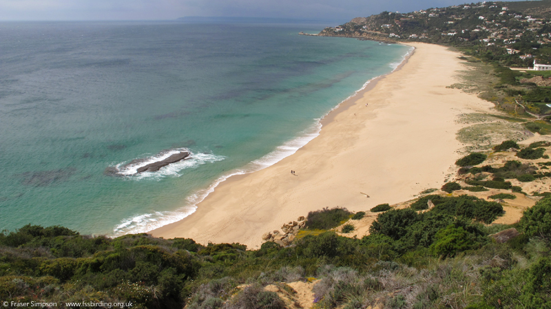 Playa de Atlanterra  Fraser Simpson