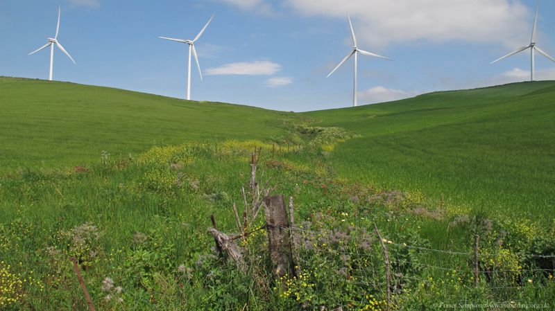 Wind turbines and flower-rich ditch, La Zarzuela  Fraser Simpson