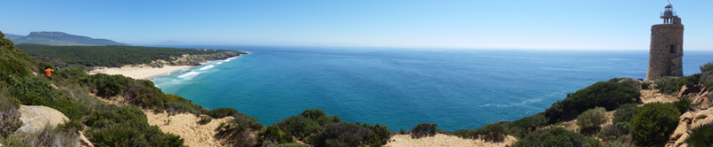 Umbrella Pine forest, Monte de Camarinal, Playa del Cauelo & Faro de Camarinal  Fraser Simpson