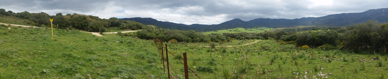 Valle de Ojn, Parque Natural de los Alcornocales   Fraser Simpson