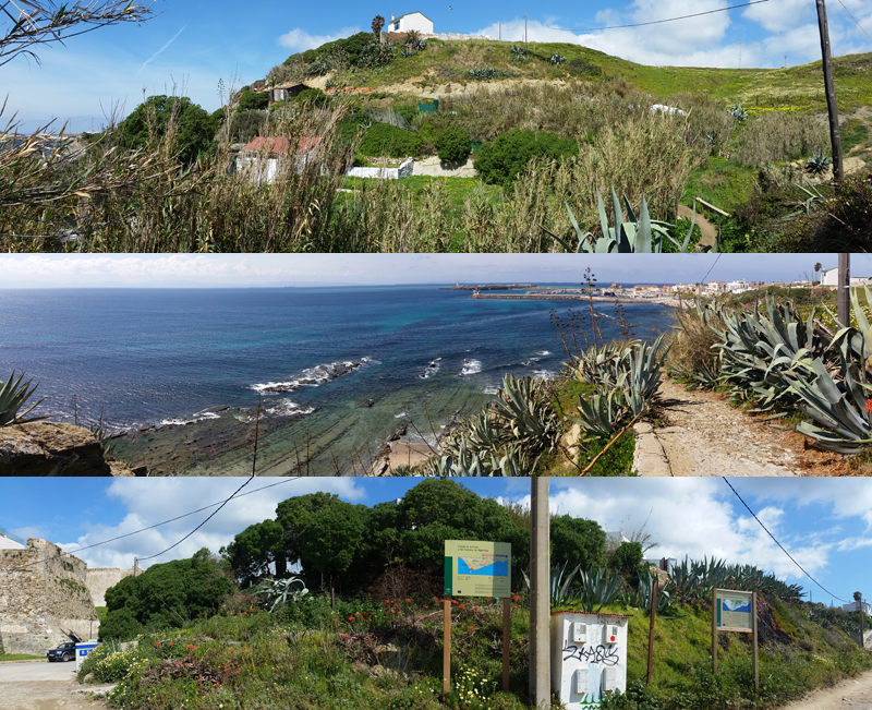 Sendero Colada de la Costa, Tarifa  Fraser Simpson