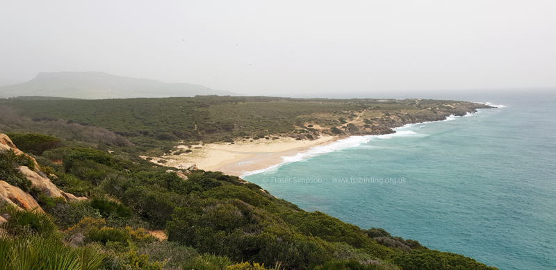 Playa de El Cauelo, Spain  Fraser Simpson