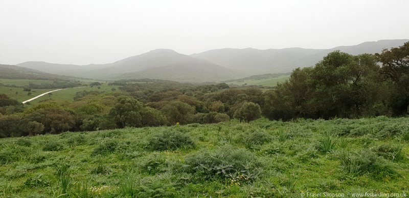 Valle de Ojn, Parque Natural de los Alcornocales, Spain  Fraser Simpson