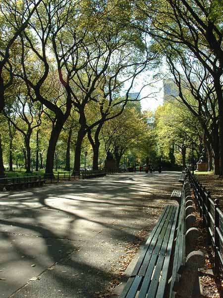 Literary Walk, The Mall