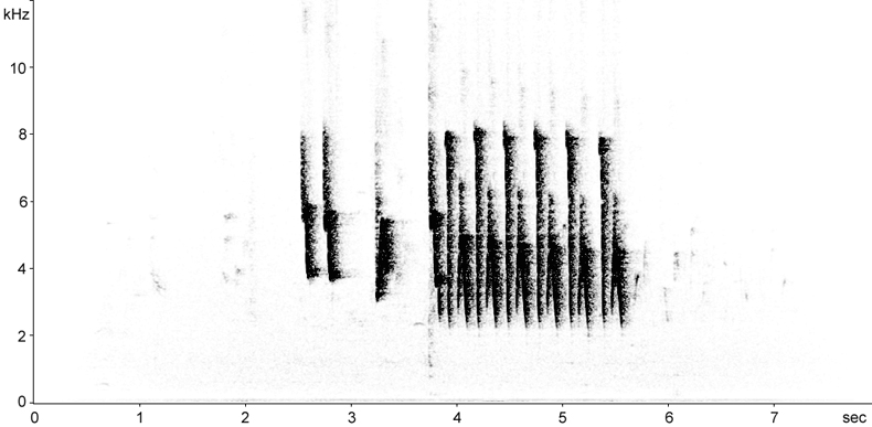 Sonogram of Cetti's Warbler song