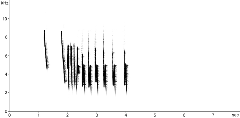 Sonogram of Cetti's Warbler song