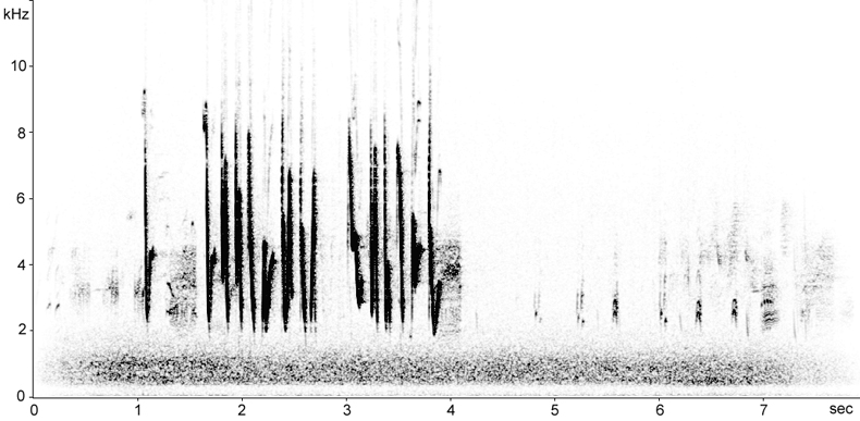 Sonogram of Cetti's Warbler song