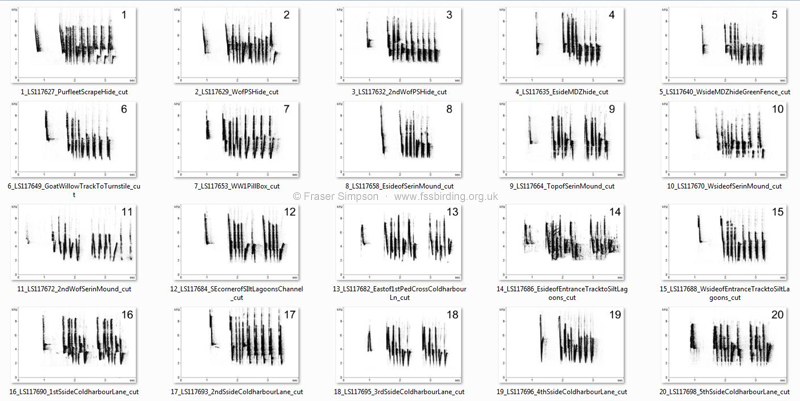 Here are the songs from 60 of the 62 Cetti's Warbler territories mapped (below) on my cycle to and from work, 