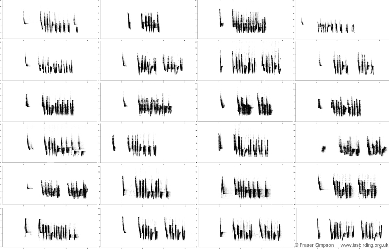 Here are the songs from 24 of the 35 Cetti's Warbler territories mapped (below) on my cycle to and from work, 