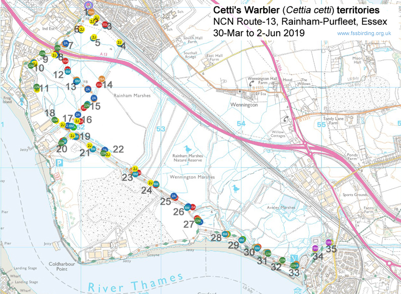 Mapping of 35 Cetti's Warbler territories on my cycle to and from work, Rainham-Purfleet (NCN Route-13), 30-Mar to 2-Jun 