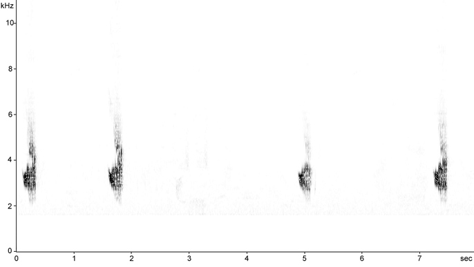 Sonogram of Chaffinch breeding calls
